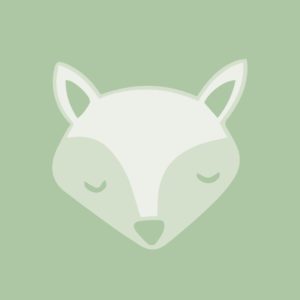 Dreamers Mint
